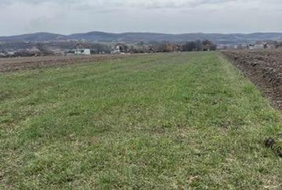 RECO, teren intravilan in Vadu Crisului - 1