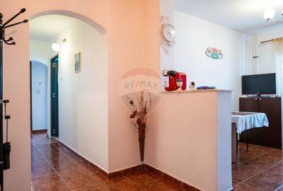 Apartament cu 3 camere de vânzare în zona Rahova - 22