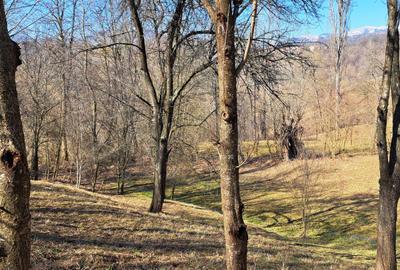 TEREN INTRAVILAN, 2142 mp, COMARNIC PRAHOVA, PODUL LUNG - 16
