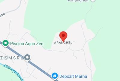 Teren Construcții intravilan de 3900 mp, în Aranghel
