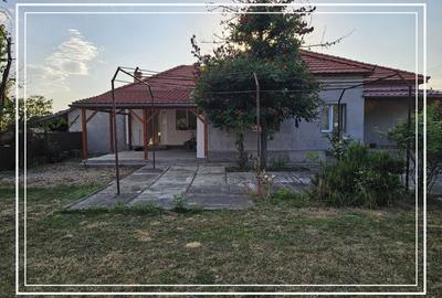 Opurtunitate si liniște Casa de vânzare la cheie Mocrea Jud. Arad - 25