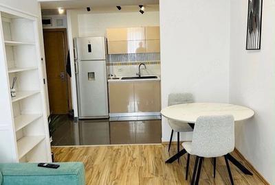 Apartament 2 Camere LA CHEIE RIN GRAND HOTEL PARCUL VACARESTI/VITAN - 3