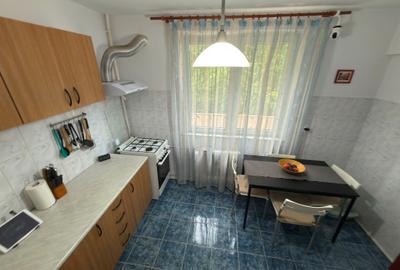 Apartament 2 camere, mobilat si utilat, etajul 6, str. Nitu Vasile, nr. 66 - 4