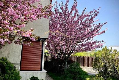 Casa/ Vila Duplex P+1+M zona Sisesti/ Baneasa - 1