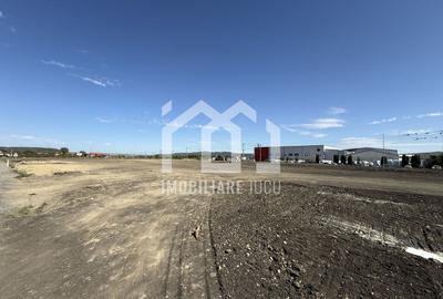 Teren Industrial 6300mp | Intrare din DN1 | Rascruci - 3