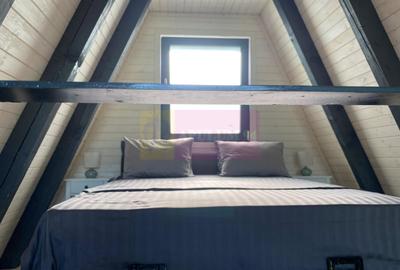 Cabane A frame + Teren 6000 mp |  Proprietate deosebita, NOU - 39