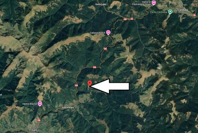 INVESTITIE - Casa de vacanta la rosu in Valea Mariilor, com. Sant - 5