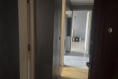 Apartament cu 2 camere decomandat, mobilat în Brazda lui Novac