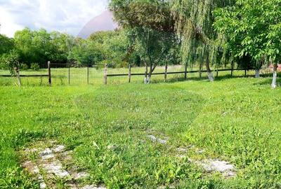 Teren intravilan 6850 mp Simnic, Izvor - 2