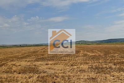 Teren intravilan– 50.000 mp, Bacău, Șoseaua Hol - 9