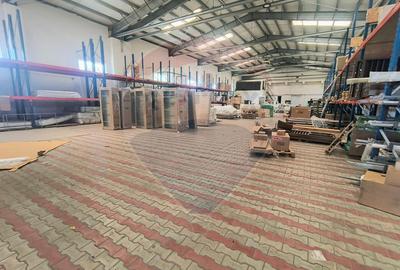 Complex Industrial DN1, Hală 1.214 mp + Showroom P+1 1.021 mp - 2