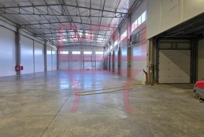Inchiriere hala cu ISU zona Baciu  + platforma betonata 1.000mp - 1