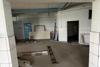 Teren comercial 1243 mp cu cladiri P1 si P3 pe Sos Bucuresti Urziceni zona Doral - 8