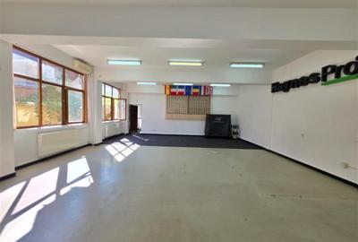 Vanzare Vila Parcul Carol- Viilor - 9