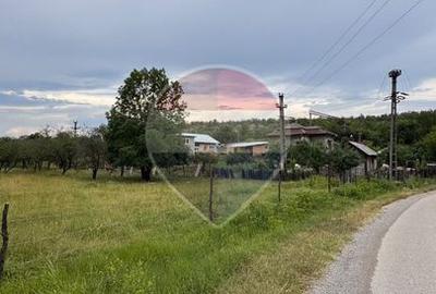Teren Construcții intravilan de 20798 mp, în Balota
