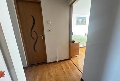 Apartament decomandat cu 2 camere zona Vasile Aaron - 19