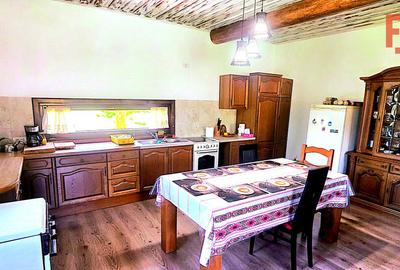 Cabana cu 7 camere de vanzare in Albac - V10073 - 18