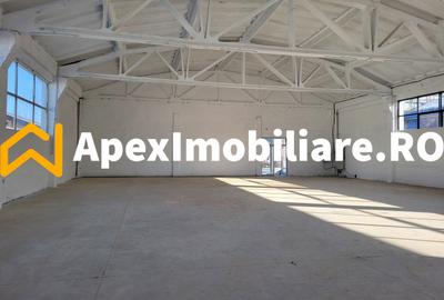 Hala Industriala Xenia – 1800 mp, Acces TIR, Parcare 50 Auto - 25