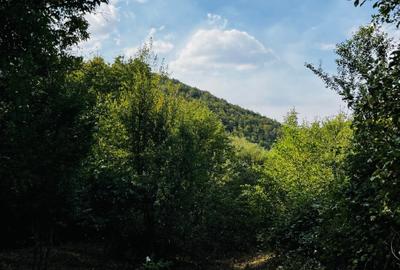 Teren 4.173 mp, front 60 m – Văliug, aproape de Lacul Gozna - 18