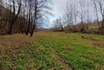 Resita, Teren Drept Intravilan, Langa Prau si Drum, Parcelabil, 4500 Mp., 15 Eur - 5