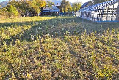Proprietate cu 6329 mp teren intravilan,Casa P+1 si anexe, Alexandru cel Bun - 15