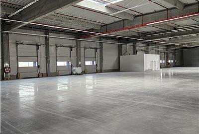 Spatiu Industrial - 2500 mp - Logistica - Productie - Depozitare - Distributie - 14