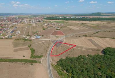 Terenuri 16.144 mp, Inel Metropolitan, vânzare integral sau separat - 11