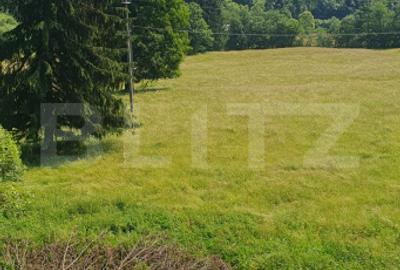 Teren Construcții intravilan de 3573 mp, în Vatra Dornei