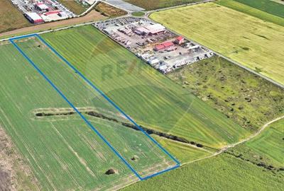 Teren comercial 5 ha, PUZ aprobat, acces direct Centura Nord Arad - 8