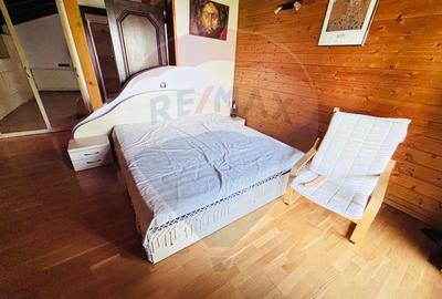 Casa de vacanta de închiriat  Cornetu -Mihailesti - 9