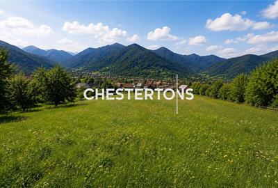 Teren intravilan de vanzare in Nucsoara, Arges | parcela generoasa 1.765 mp | zo - 3