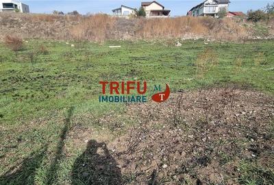 Teren Construcții intravilan de 2900 mp, în Ampoi 1