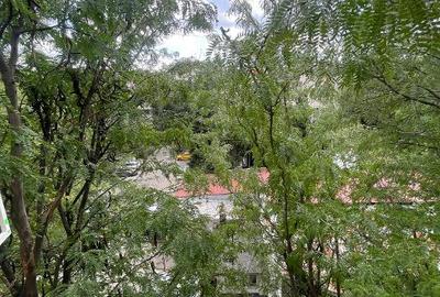 Apartament 2 camere Basarabia-Piata Muncii, 50mp, et 4, vedere spate catre parc - 9