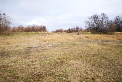 Vând teren agricol  2 ha cu deschidere la Dunăre - 5