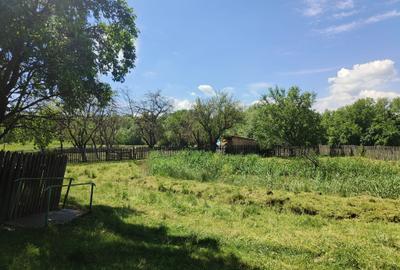 Casa la 5 km de Targu-Neamt - cu iaz si livada matura - gata pentru mutat - 14