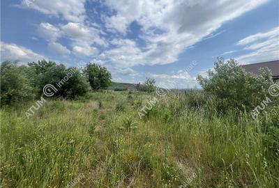 Teren curti constructii de 20200 mp cu deschidere de 72 m in Daia - 4