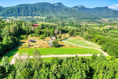 Teren intravilan zona Bran-Tohanita,langa padure intre 500 si 1000 m - 10