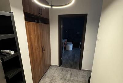 GARSONIERA - TINERETULUI, PET-FRIENDLY, METROU 6 MINUTE, BOILER - 3