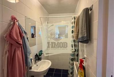 Casa cu 6 camere 2 bai si 1030 mp teren in Viile Sibiului - 10
