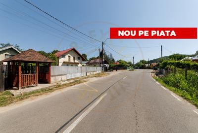 Casă individuală cu 3 camere în Ștefănești