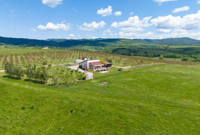 PROPRIETATE CU LIVADA MATURA DE NUCI SI POTENTIAL INVESTITIONAL - 60