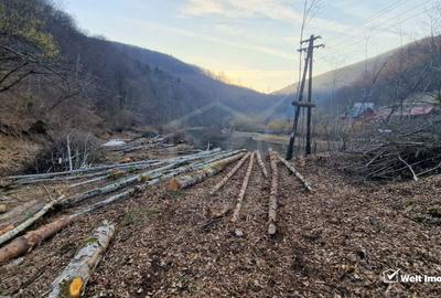 Teren Intravilan de Vânzare – 3279 MP – Coada Lacului Tarnița - 1