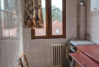Apartament trei camere de vanzare zona B-dul cu Castani - 9