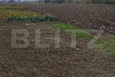 Teren Construcții extravilan de 3000 mp, în Ișalnița