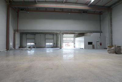 Depozit logistic clasa A, autorizare ISU - 3