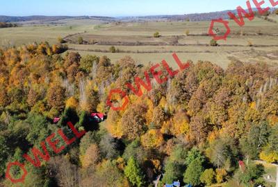 Teren extravilan de 3.500 m² de vânzare în Bodvaj! - 3