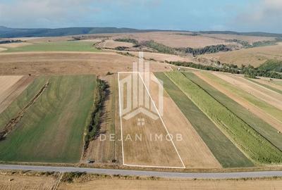 Teren extravilan | 19.000 mp | Ghidfalău - 8