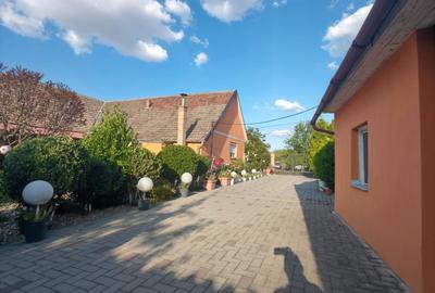 Casa Parter Becicherecu Mic 5 Camere,Vatra Veche,Teren Generos 1600mp,F.s 36 mp - 4