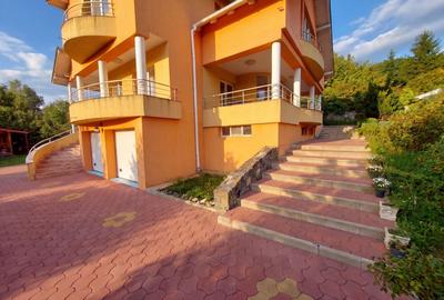 Vila în Faget | Teren 2.412 mp| Sauna, Jacuzzi & Graadinaa superba - 5