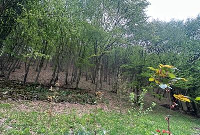 Cabana 5 camere, 75 mp| teren 900 mp| zona Iezer Ighiel - 11